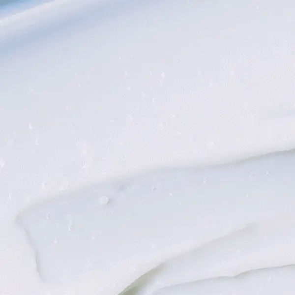 Round Lab - Birch Juice Moisturizing Cream - Skin Shine