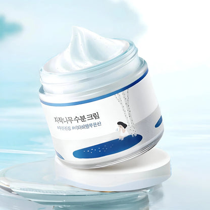 Round Lab - Birch Juice Moisturizing Cream - Skin Shine